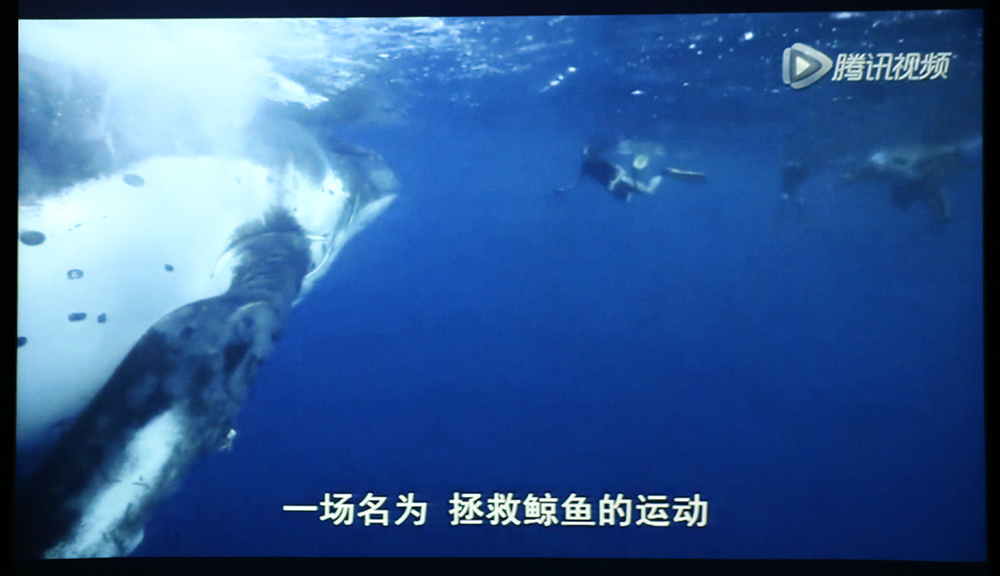 葡京娱乐(中国)唯一官方网站